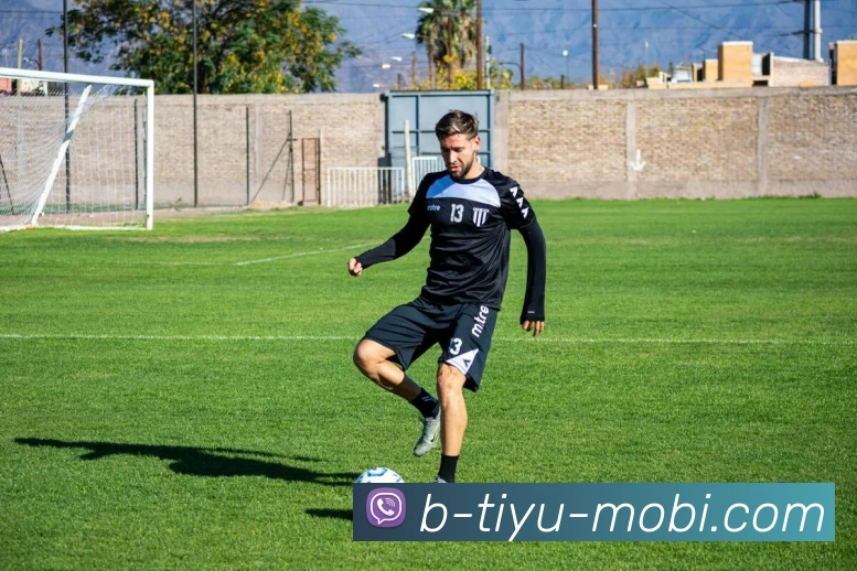 B体育APP 封面图